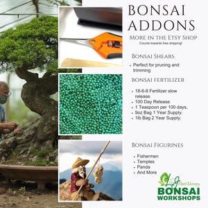 Puede incluir: Complementos para bons&aacute;i para el cuidado de tu bons&aacute;i. Incluye tijeras para bons&aacute;i, fertilizante y figuritas. M&aacute;s en la tienda Etsy. &iexcl;Cuenta para el env&iacute;o gratuito!