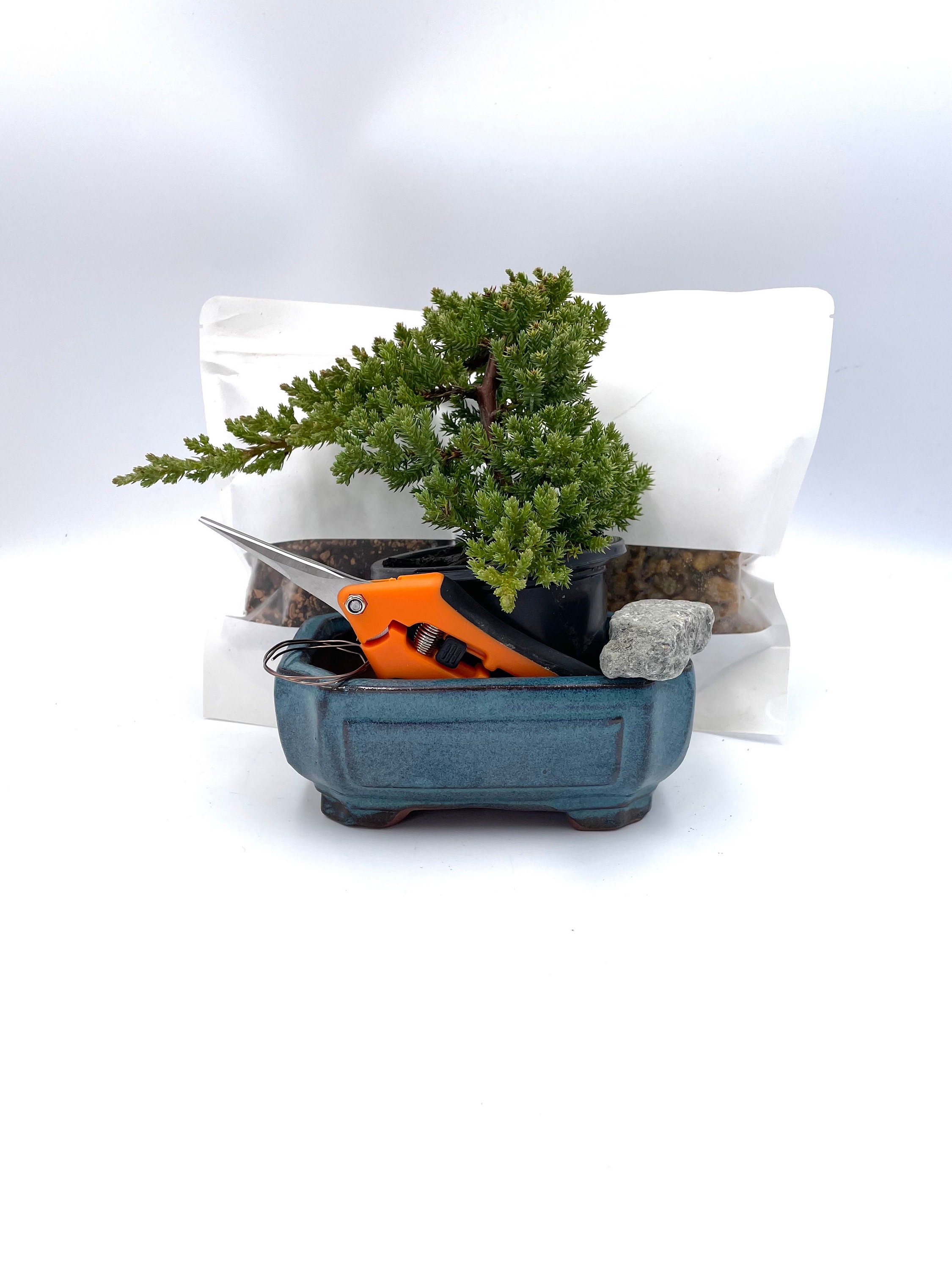 Bonsai Gift Set - 60+ Gift Ideas for 2026
