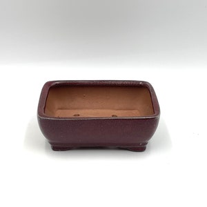 May include: A square, burgundy ceramic bonsai pot with drainage holes. The pot has a textured surface and sits on four small feet.