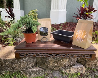 DIY Juniper Bonsai Kit | All-Inclusive Bonsai Starter Kit