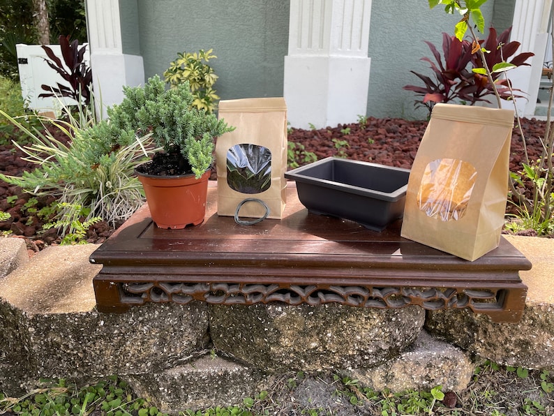 Juniper Bonsai Kit with All Supplies Included