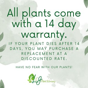 14-Day Warranty: Image explaining our 14-day warranty on plants, with a clear layout highlighting terms and conditions, and visually appealing design elements.