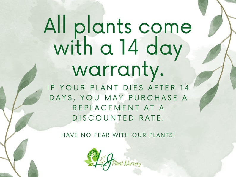 14-Day Warranty: Image explaining our 14-day warranty on plants, with a clear layout highlighting terms and conditions, and visually appealing design elements.