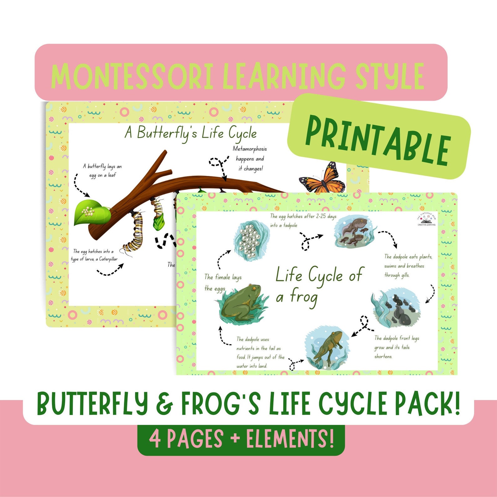 The Life Cycle of a Butterfly / FROG, Homeschool Activity Binder ...