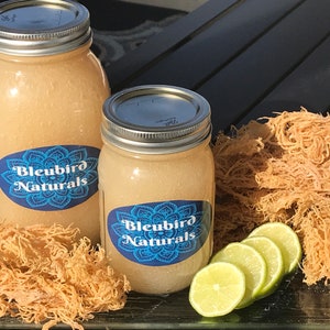Premium Alkaline Wildcrafted Gold St. Lucia Sea Moss Gel