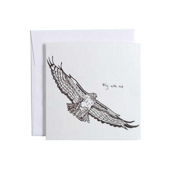 Flying Red Tailed Hawk Greeting Card, Blank Inside, Individual or Card Pack