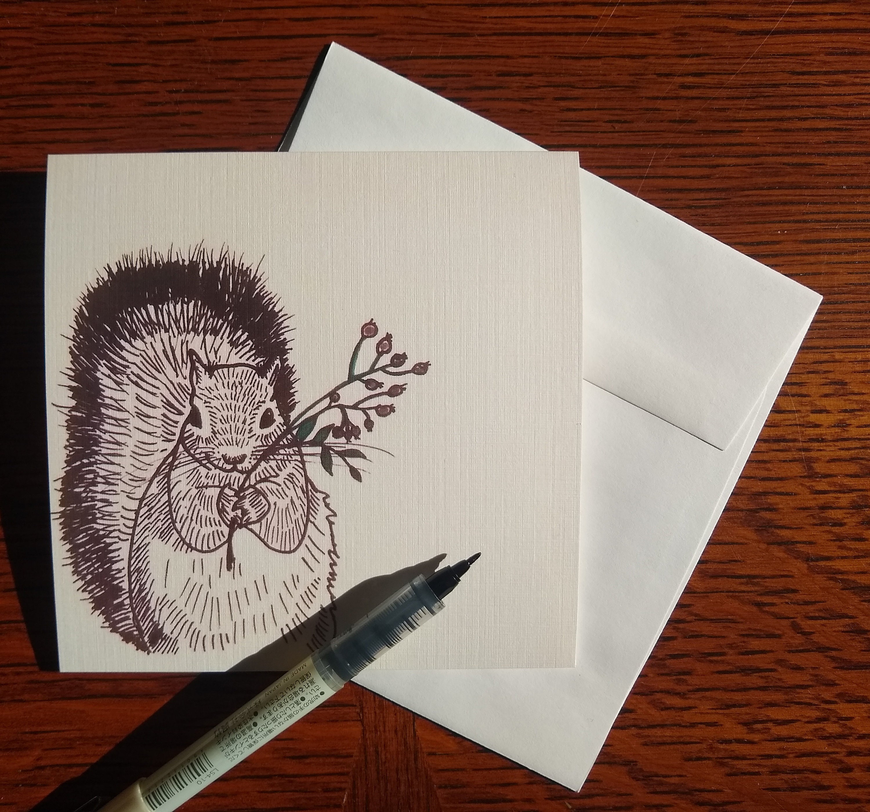 Squirrel Note Card Pack Pack Of 4 Or 6 Etsy
