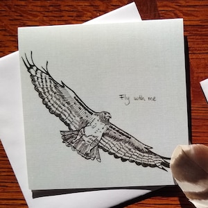 Flying Red Tailed Hawk Greeting Card, Blank Inside, Individual or Card Pack