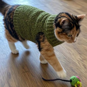 Easy Crochet Cat Sweater Pattern, Beginner Friendly Pet Clothes (PDF Download)