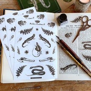 Può includere: Un assortimento di articoli di cancelleria su una superficie di legno. Include fogli di adesivi con illustrazioni botaniche, un libro verde, inchiostro, penne, forbici e una candela accesa. I fogli di adesivi presentano il testo "Nature Academia II" e il sito web "carasan.art".