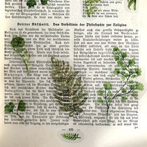 Może przedstawiać: Strona z książki z tekstem w języku niemieckim o relacji między filozofią a religią. Strona jest ozdobiona dwoma prasowanymi paprociami.
