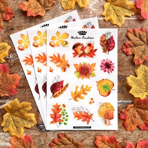 Stickerbogen 'Herbstlaub' Aufkleber | 3 Bogen DinA5 | herbstliche Aquarellillustrationen für Journaling, Deko und mehr