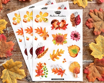 Stickerbogen Herbstlaub transparent – botanische Aufkleber A5 (3 Bogen) für Journaling, Scrapbooking & Papierdeko