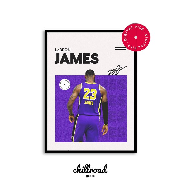 signed lebron poster