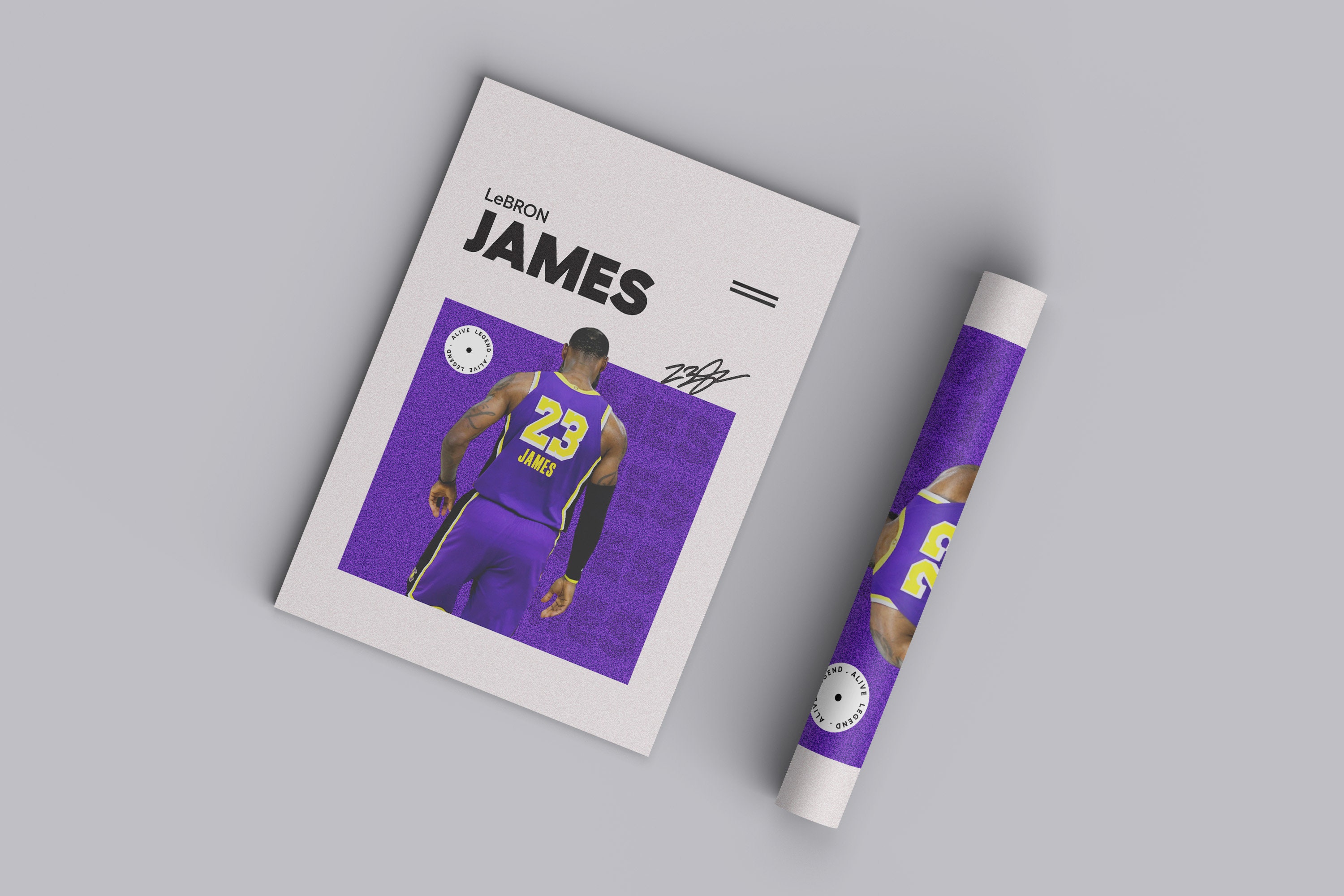 signed lebron poster