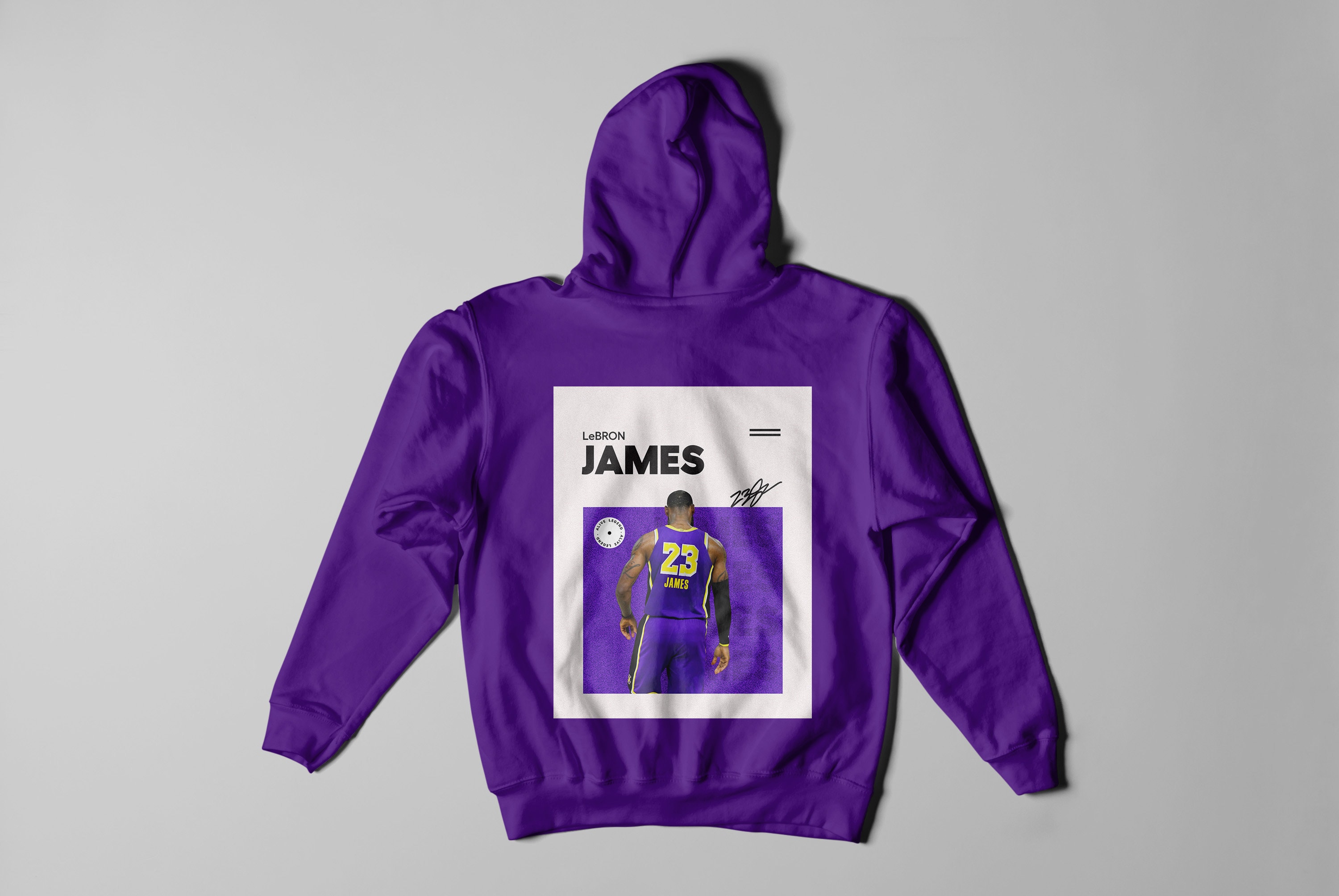 signed lebron poster