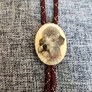 May include: A bolo tie with a brown cord and gold accents features a white oval cameo with a black and white image of a poodle.