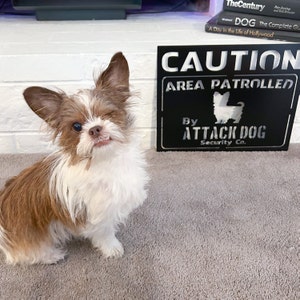 Guard dog metal sign, Small attack dog sign, Funny dog sign, Dog patrol sign, Guest warning sign, Dog security, Metal Dog garden sign