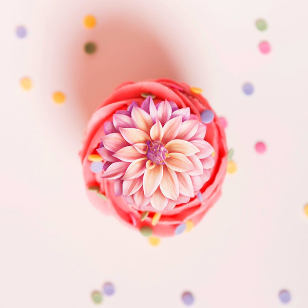 Fleur de dahlia rose en gaufrette comestible prédécoupée pour la décoration de gâteaux, cupcakes et biscuits