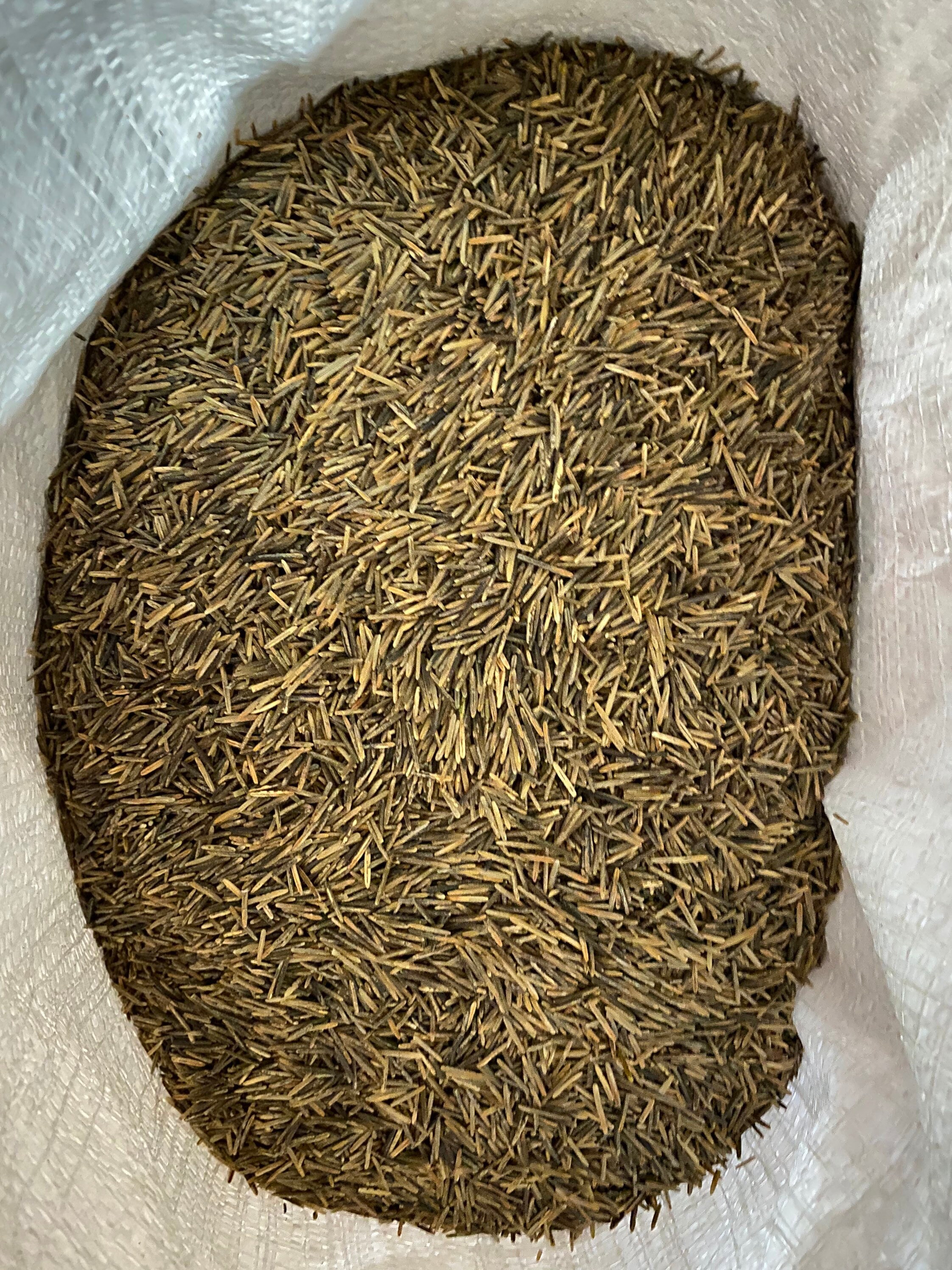 Hand Harvested Wild Rice Woodfire Parched Etsy