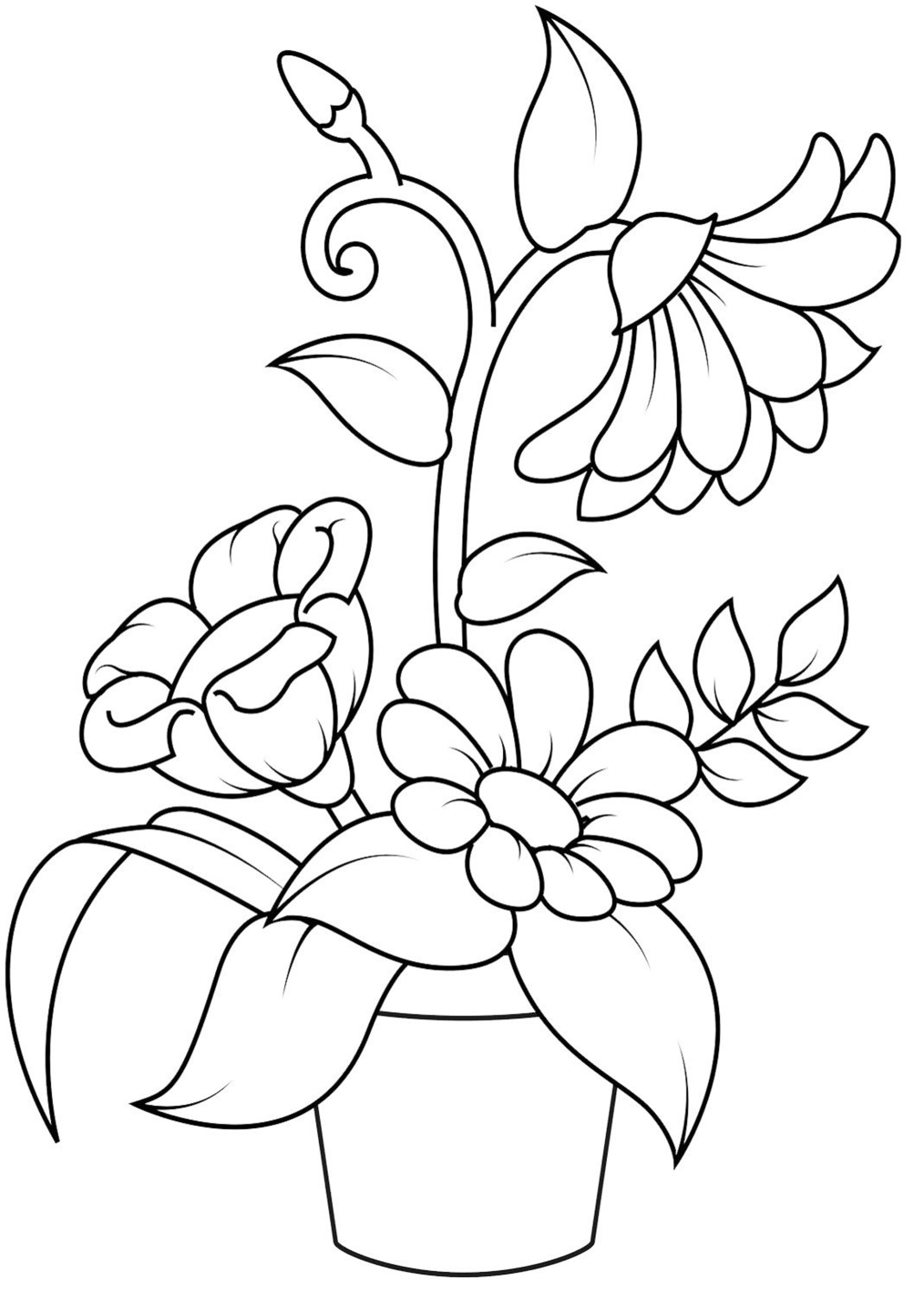 Flowers Coloring Book Flowers Coloring Pages Flowers Etsy