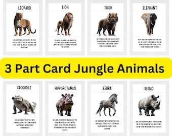 Tarjetas flash de animales de la selva juguetes educación en el hogar Tarjetas de 3 partes Montessori imprimibles - Tarjetas de nomenclatura preescolar Tarjetas de 3 partes para niños