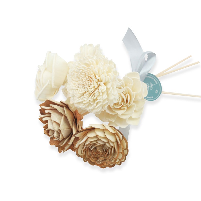 Assorted Sola Wood Flowers on Reed Stems