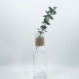 May include: A clear glass vase with a square base and a natural twine tied around the neck. A single sprig of dried eucalyptus is in the vase.