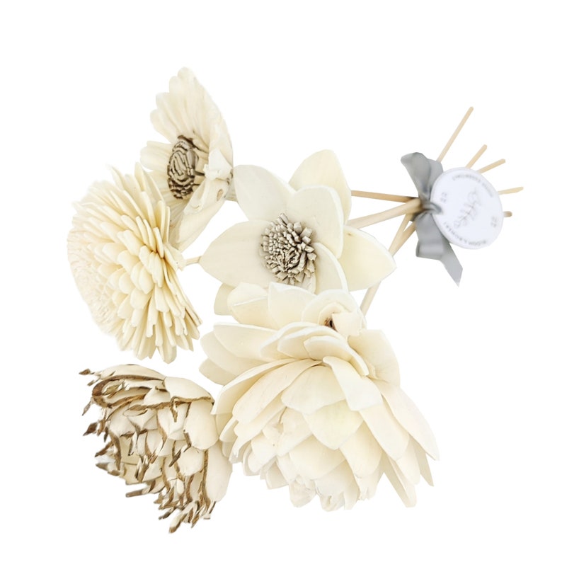 Assorted Sola Wood Flowers on Reed Stems