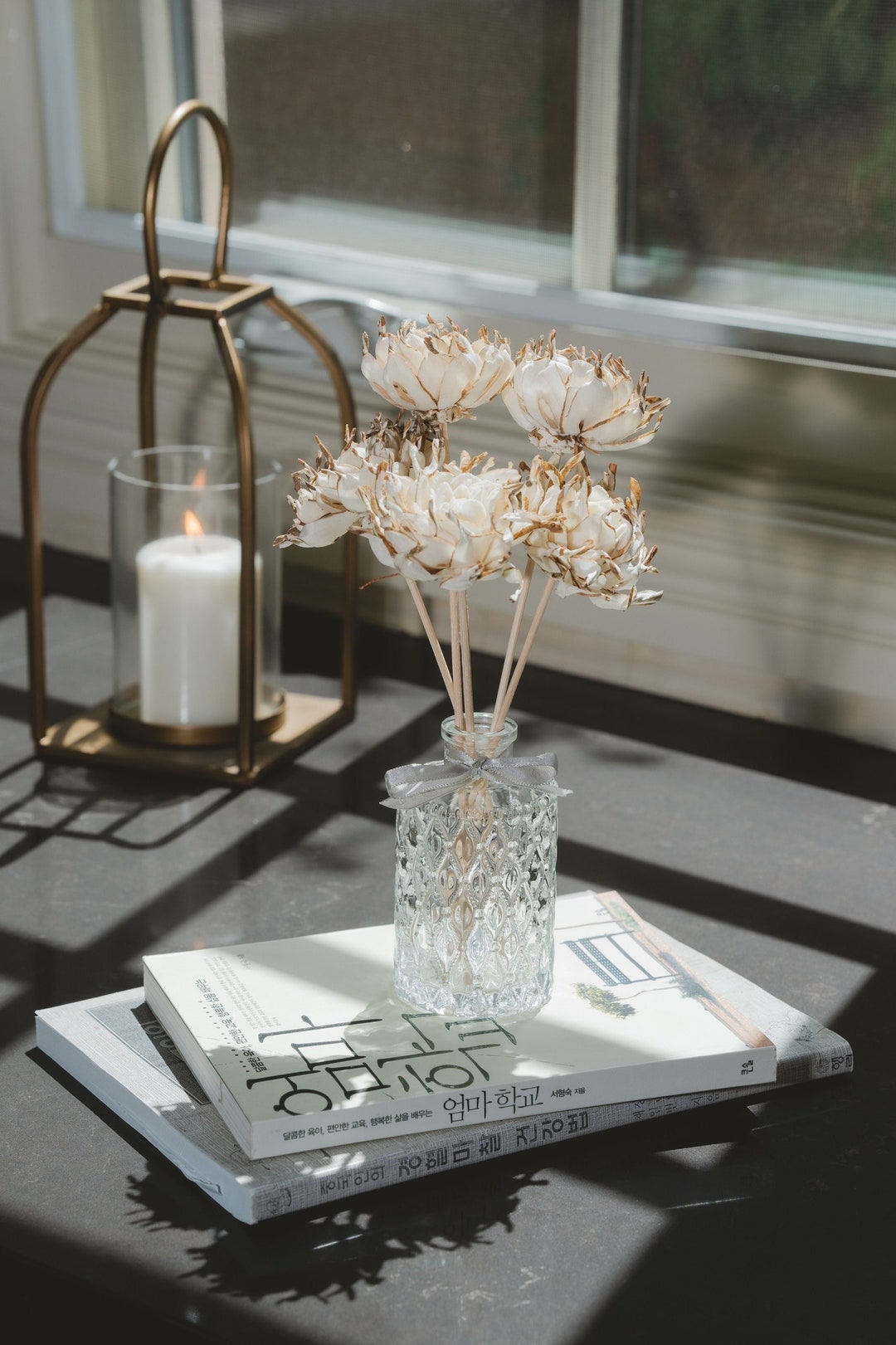 Sola Wood Desert Flower on Reed Stem | Set of 5 | Dried Flower ...