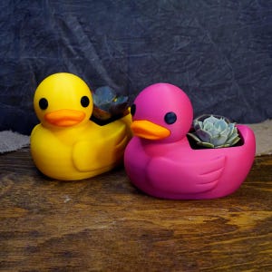 Rubber Duck Succulent Planter, 3D Printed Animal Plant Pot, Small Cactus Bowl, Indoor Duck Planter, Desk Succulent Holder