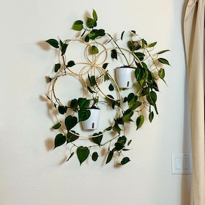 Modern Indoor Wall Planter Set