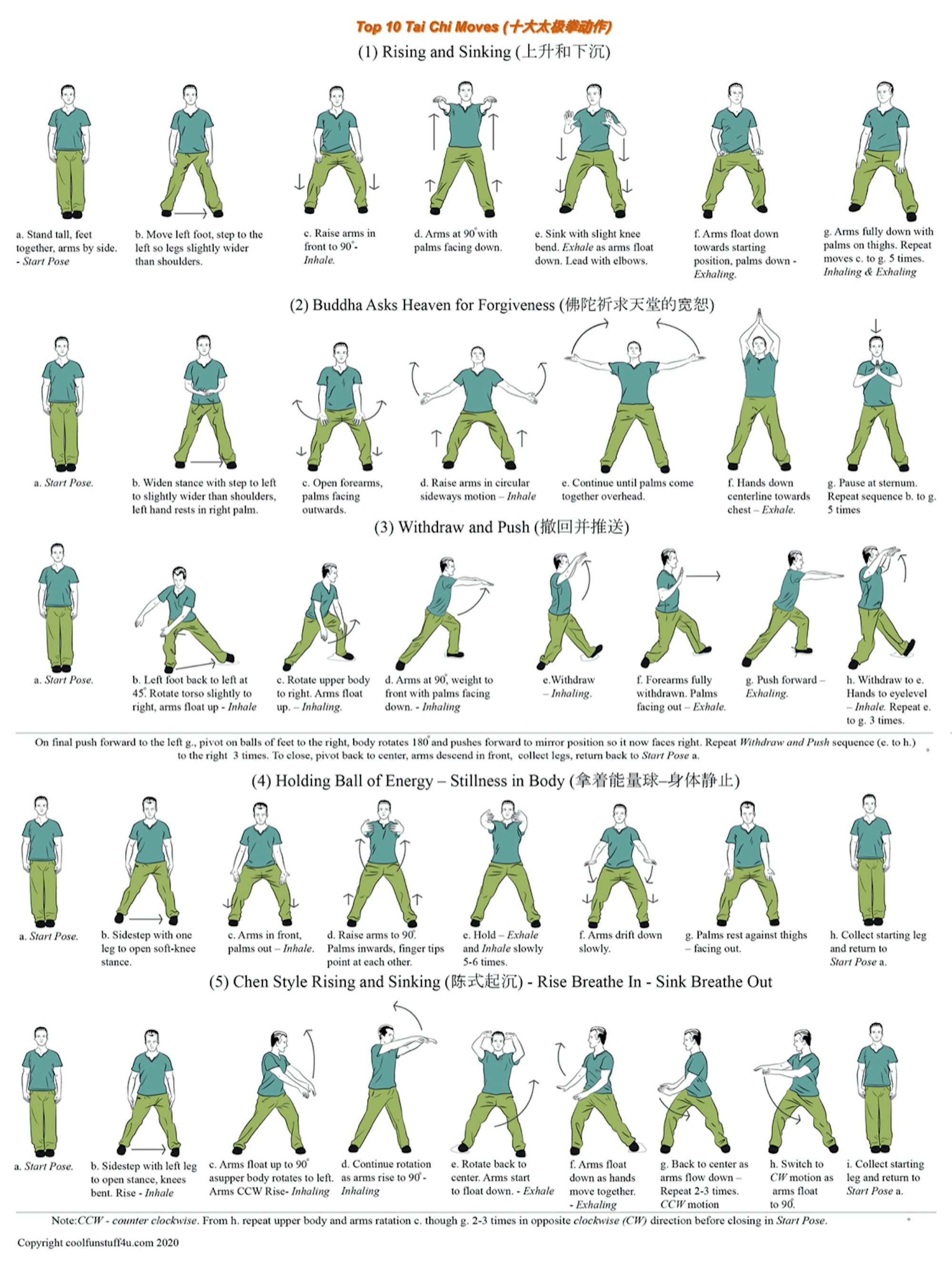 Top 10 Tai Chi Moves - Etsy
