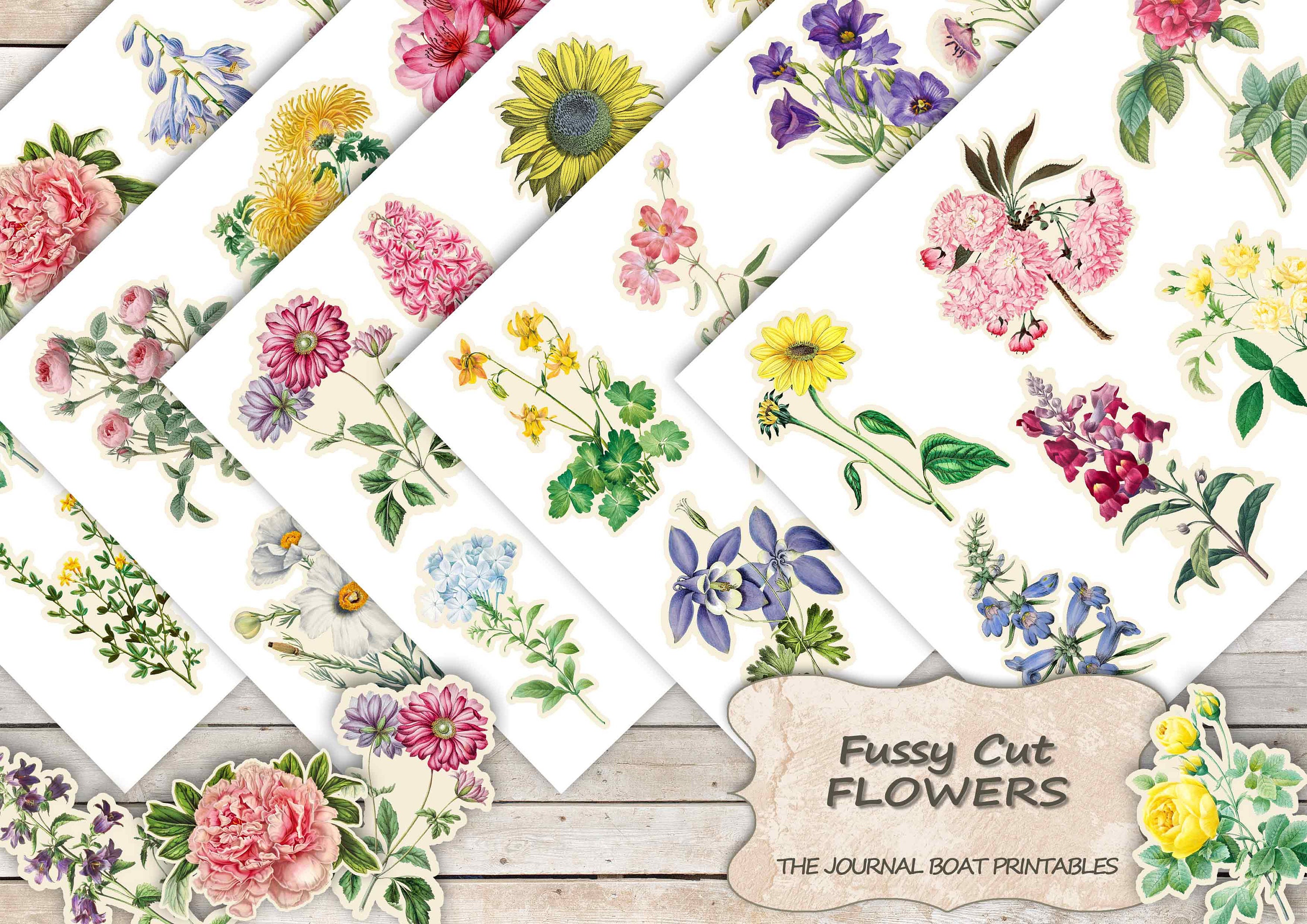 Fussy Cut Flowers,  Printable, Digital Download, Collage Sheet, Flowe…