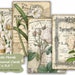 White Floral Journal Cards, ATC, Printable, Digital Download, Collage Sheet, Flowers, Junk Journal Ephemera, Embellishments 
