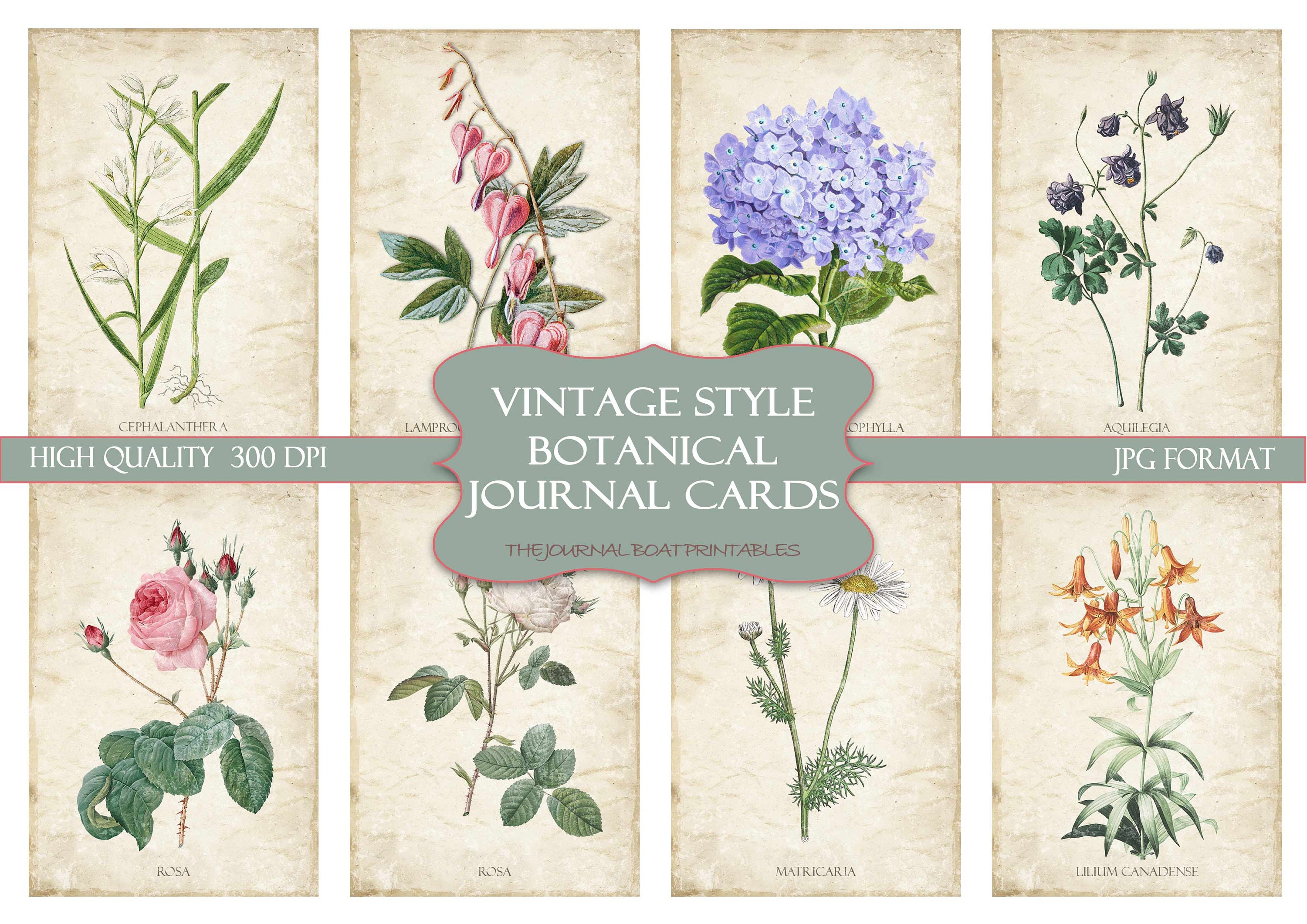 Junk Journal Cards, vintage botanical, ATC, Printable, Digital Downlo…