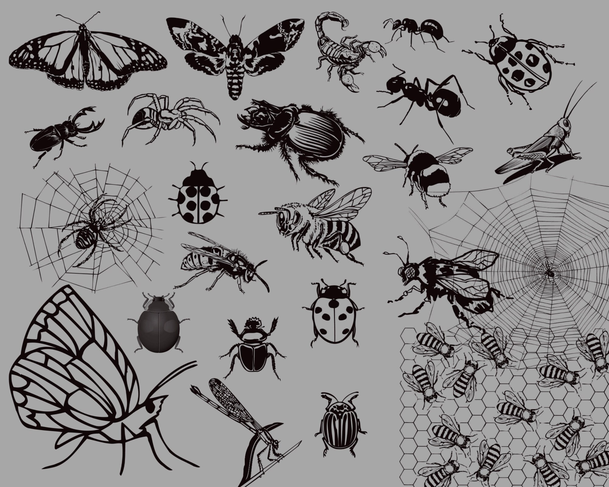 Premates Insects 150 Butterfly Procreate Stamps: Insect Brush Set (commercial Use) - Etsy