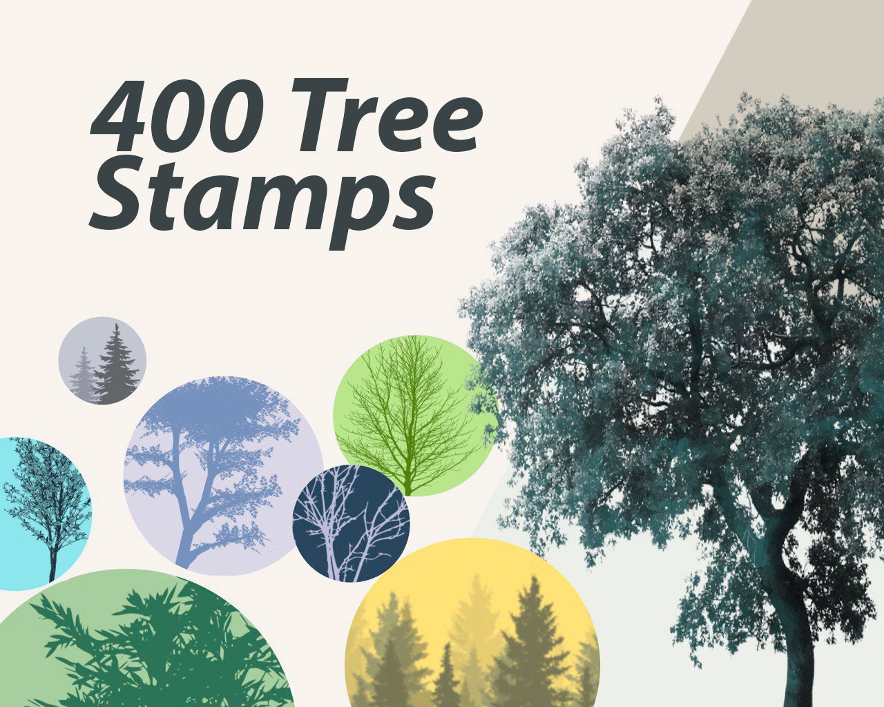 400 Procreate Tree Stamp Brushes Procreate Tree Brushes Etsy