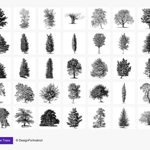 60+ Vintage Procreate Tree Stamp Brushes, Procreate Tree Brushes ...