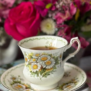 Vintage Rosina Bone China Teacup and Saucer: Queen&#39;s Daisy, Made in England