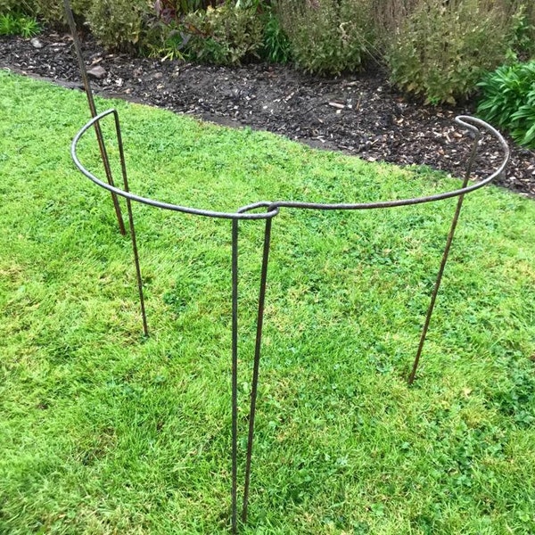 Set of 10 Looped Plant Supports - Plant Stakes / Plant Frame / Metal Plant Stand / Plant Accessories / Garden Plants / Trailing Plants