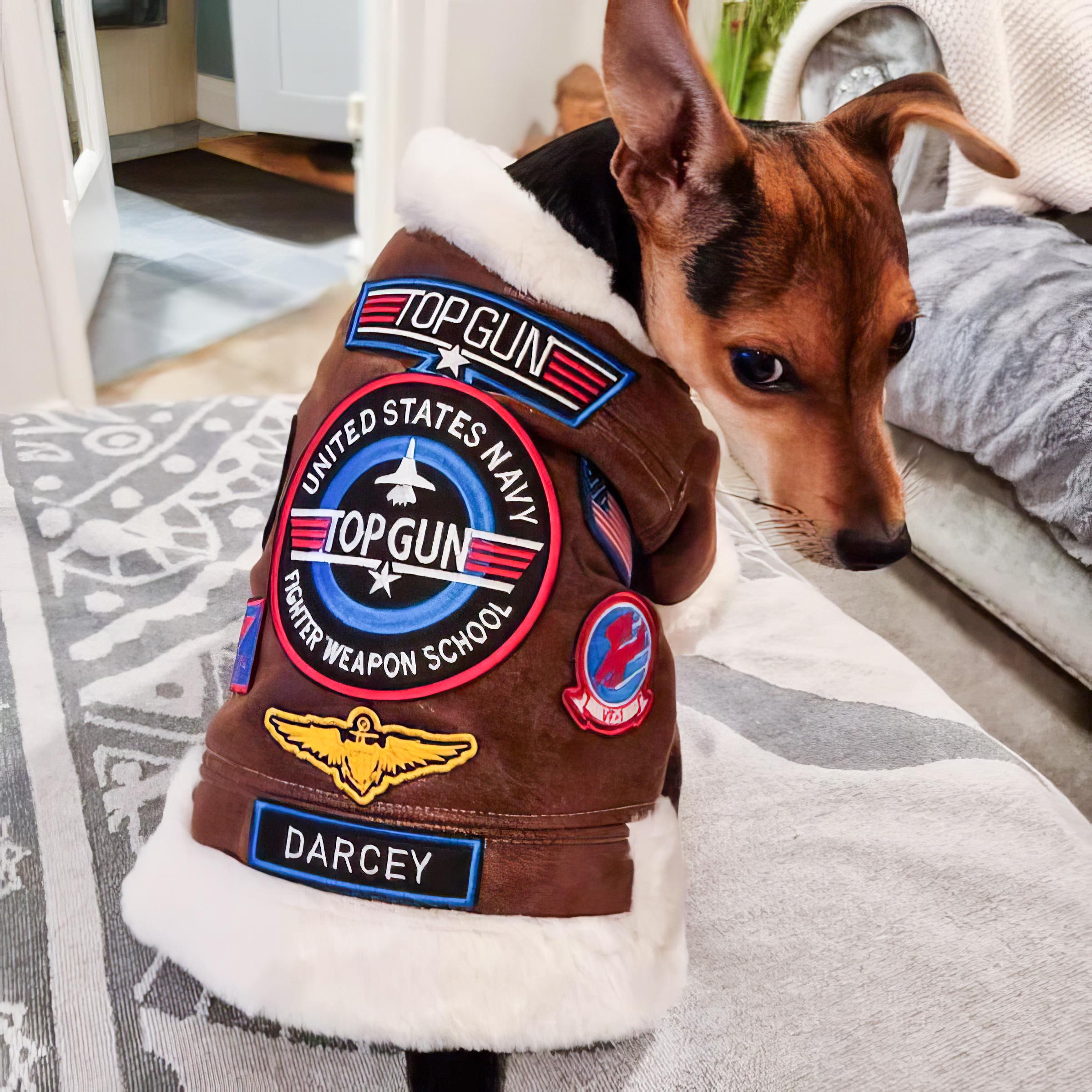 Top Gun Dog Jacket Pilot Dog Costume Pet Halloween Outfit Dog Apparel  Pet Jacket Christmas Gift| Cosplay|dog fancy Primary color: Black