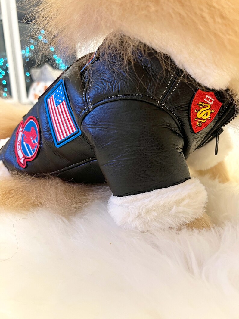 Top Gun Maverick/top Gun Leather Dog Jacket/dog Jacket/pet Etsy