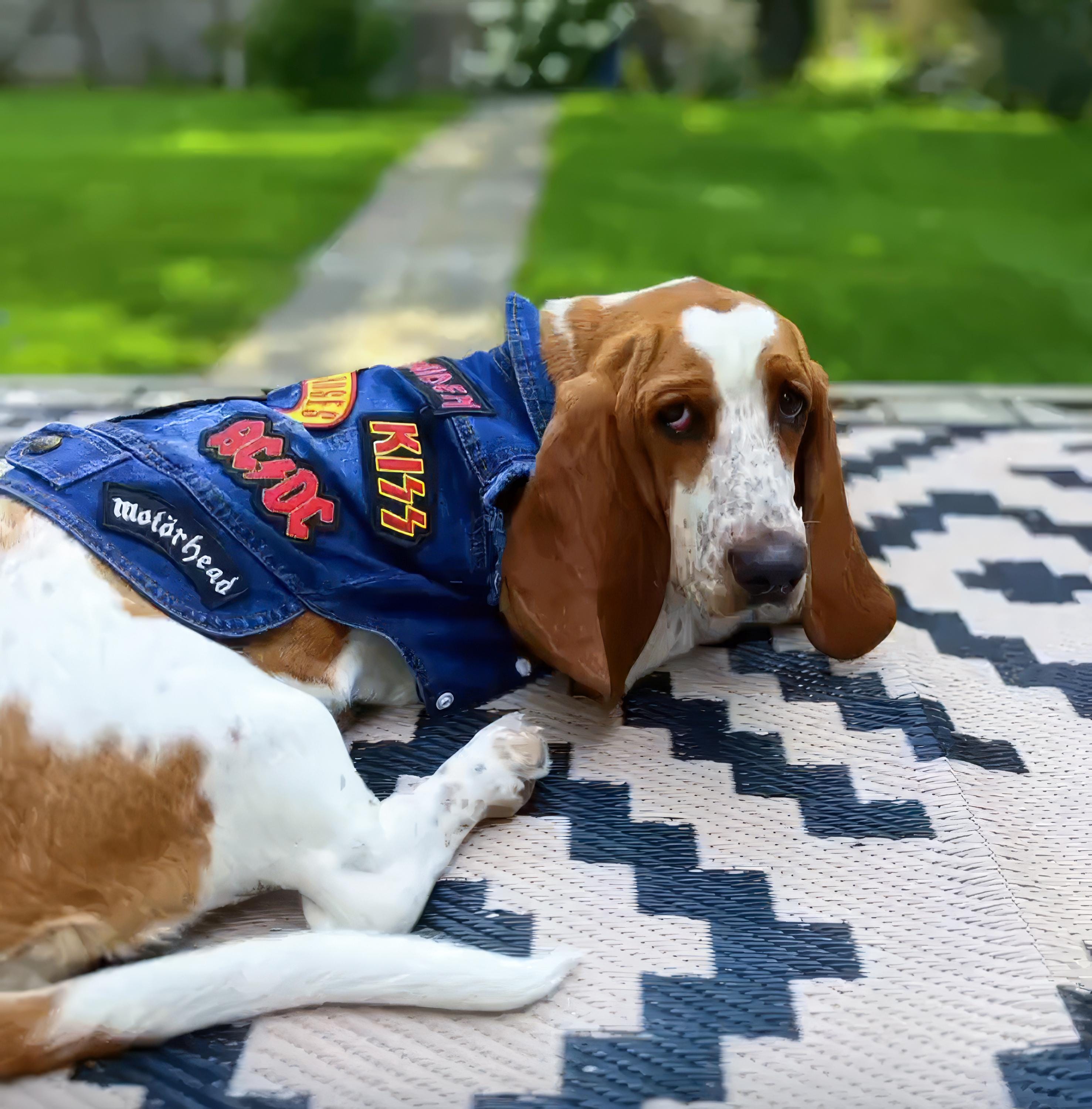 ロックバンドパッチデニム犬用ジャケット - メタルミュージックベスト 