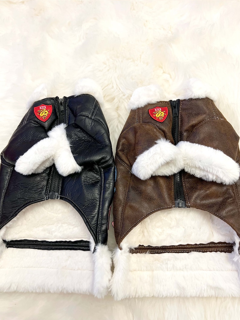 Top Gun Maverick/top Gun Leather Dog Jacket/dog Jacket/pet Etsy