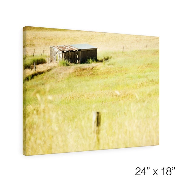 Pasture Art - Old Shed In The Pasture - Autumn Farm Décor - Pasture - Pasture Art - Pasture Art Print