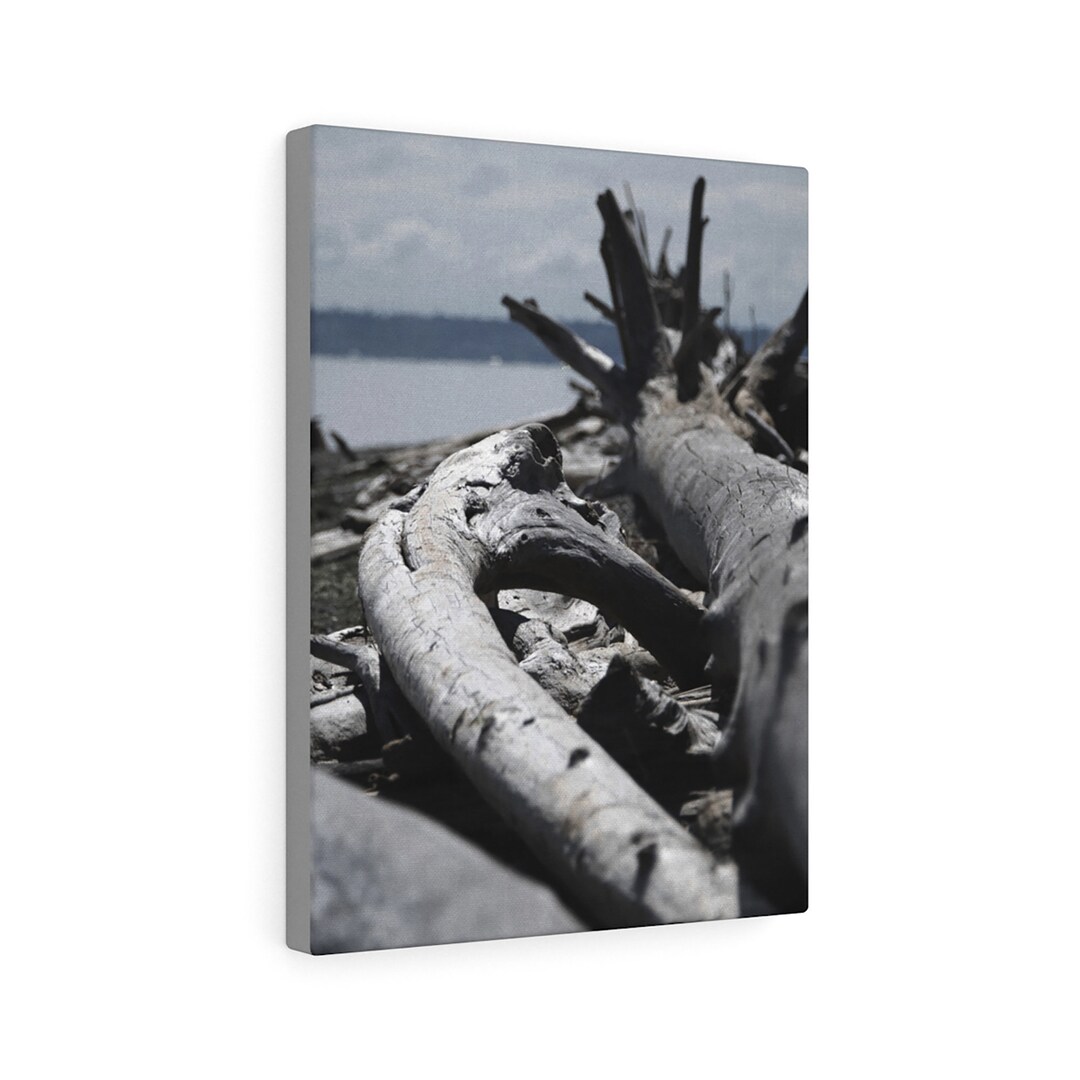 Driftwood Canvas Print West Coast Canvas Print Beach Wood Canvas Art