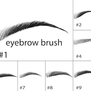 48 women eyebrow photoshop brushes