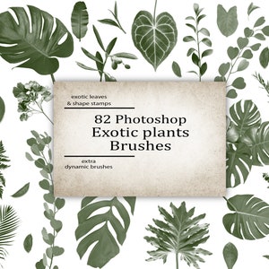 Exotic leaves, brushes for Photoshop, Monstera,banana leaves, Tropical leaves,greens,floral decor,plant brushes,greenery for decor,abr files