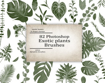 Pinceaux Photoshop exotiques de feuilles tropicales : décor végétal haute résolution (fichiers ABR)